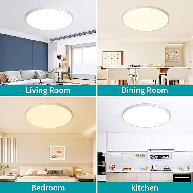 24 Inch Round Led Ceiling Light Fixture, Ultra Thin Flush Mount, Dimmable with Remote Control, 56W, 5600 Lumen, Modern, Silver, for Kitchen, Dining Room, Bedroom, Living Room, Home Office