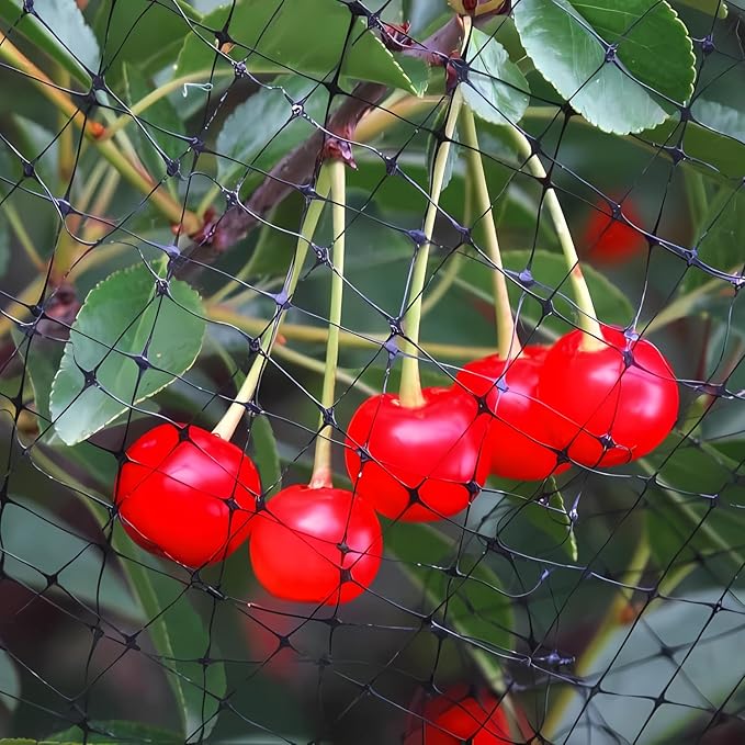 Bird Netting 7x25 FT – 3/4" Mesh Garden Netting for Plant Protection, Deer Fence Netting Against Birds, Squirrels, Rabbits, Raccoons & More – Protect Fruit Trees, Vegetables & Flowers