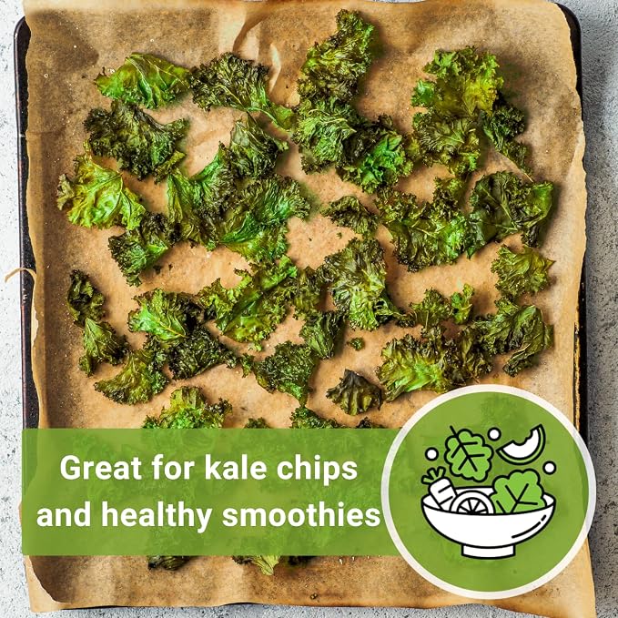 Sow Right Seeds - Dwarf Siberian Improved Kale Seed for Planting - Non-GMO Heirloom Packet with Instructions to Plant a Home Vegetable Garden - Very Nutritious Superfood - Classic Variety (3)