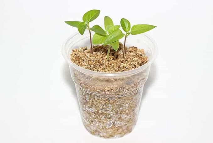 Moisture Control and Drainage Perfection with Gardenera 50/50 Perlite Vermiculite Blend - Ideal Soil Amendment for All Plant Types - 5 Quart