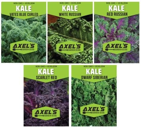 Kale Seeds for Planting - Plant & Grow Heirloom Kale Varieties Home Outdoor Garden – Easy Grow Planting Packet Instructions Included, Great Gardening Gift – 5 Packets of Each Variety