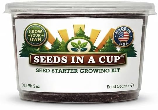 Tree Grow Kit | Easy to use | Educational | Memorial Gift | Plant It for The Planet | Grow Your Own Tree |Wide Selection to Choose from (Sycamore)