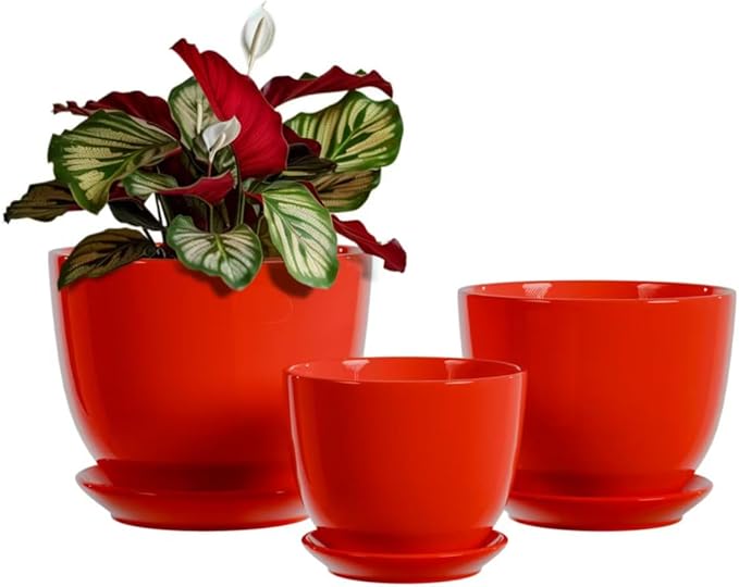 Ceramic Plant Pots - 4"/5"/6" Inch Red Planters Set of 3 with Drainage Holes and Saucer - Indoor Flower Pots for Plants Ceramic Planters for Indoor Gardening Succulent Pots(Red)
