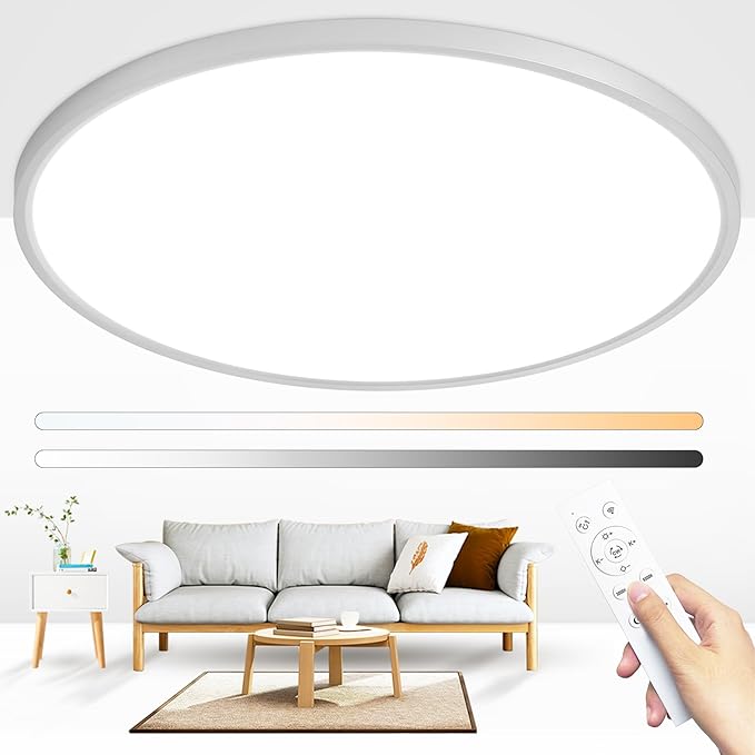 24 Inch Round Led Ceiling Light Fixture, Ultra Thin Flush Mount, Dimmable with Remote Control, 56W, 5600 Lumen, Modern, Silver, for Kitchen, Dining Room, Bedroom, Living Room, Home Office