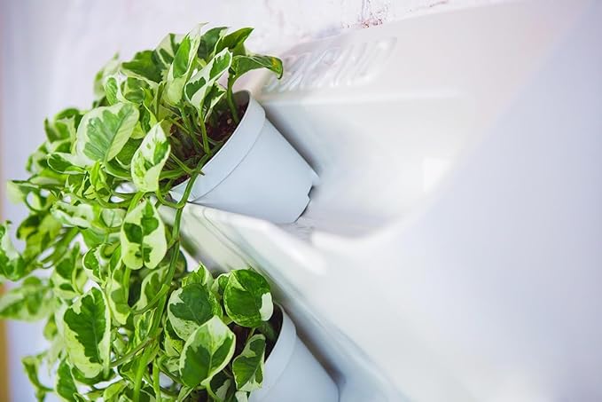 BOXSAND-12 Vertical Wall Planter