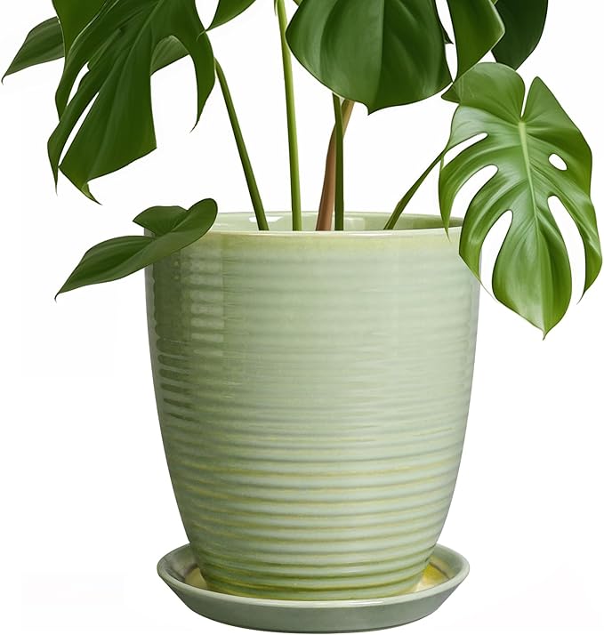 Ceramic Pots for Plants - Modern Round 8 Inch Planter with Drainage Hole and Plant Saucer for Flower Indoor Outdoor, Home Decor, House Warming Gifts, Green