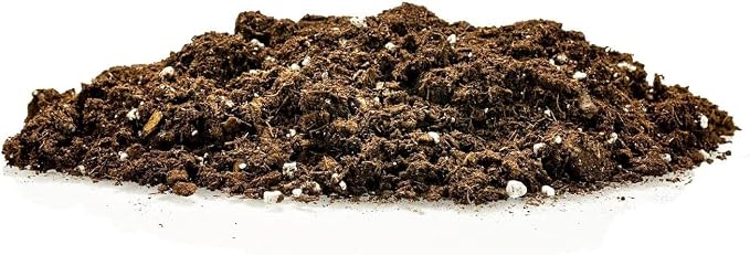 GARDENERA Premium Snake Plant Potting Soil Mix - 20 Quart - Green Sansevieria Trifascatia Zeylanica Plants, Plant or Re-Pot Your Snake Plant (4 Bags of 5 Quart)