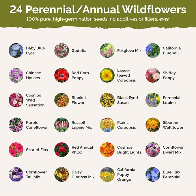 Eden Brothers Washington Wildflower Mixed Seeds for Planting, 1/4 lb, 120,000+ Seeds with Cosmos, Bluebell | Attracts Pollinators, Plant in Spring or Fall, Zones