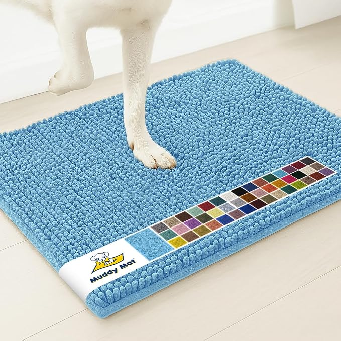 Muddy Mat® | Super Water Absorbent Door Mat Indoor, Microfiber Quick Dry Chenille Entryway Rug, Slip Resistant Front Door Mat, Indoor Mats for Entryway, Machine Washable Pet Rug, Sky Blue 3ft x 4ft