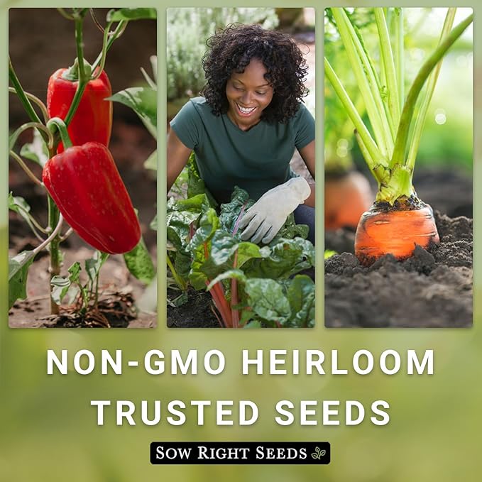 Sow Right Seeds - Lacinato Kale Seed for Planting - Non-GMO Heirloom Packet with Instructions to Plant a Home Vegetable Garden - Very Nutritious Superfood, Grow This Dinosaur Variety (1)