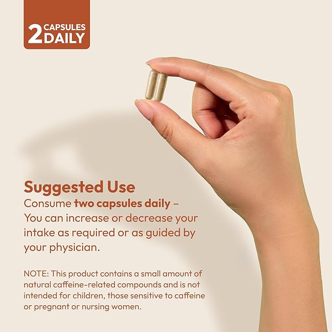 ANDREW LESSMAN Energy and Fat Metabolism Factors - 360 Capsules - Promotes Optimum Fat and Energy Metabolism, with Carnitine, Green Tea, Guarana, Ginseng, B-Complex. Easy to Swallow Capsules