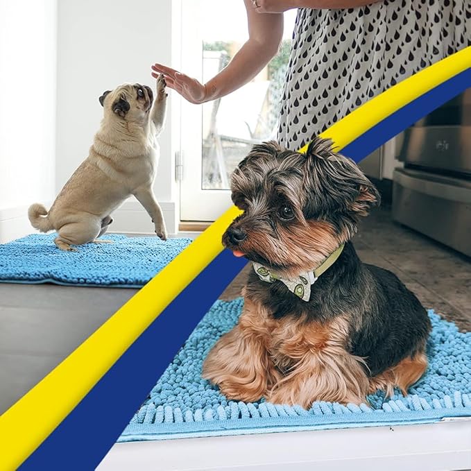 Muddy Mat® | Super Water Absorbent Door Mat Indoor, Microfiber Quick Dry Chenille Entryway Rug, Slip Resistant Front Door Mat, Indoor Mats for Entryway, Machine Washable Pet Rug, Sky Blue 3ft x 4ft