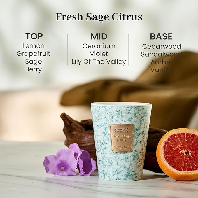 M&SENSE FreshSage Citrus Scented Candles for Home, Lead-Free Wick Highly Scented Jar Candles, 14.1 Oz 80 Hours Lasting Burning Candles Gifts for Women, Relaxing Aromatherapy Candle for Stress Relief