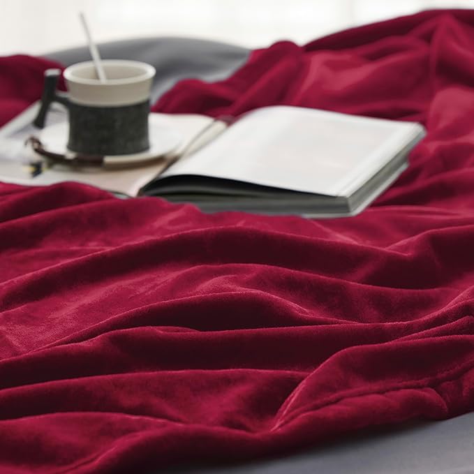 Bedsure Fleece Throw Blanket Red - 300GSM Blankets for Couch, Sofa, Bed, Soft Lightweight Plush Cozy Throws for Toddlers, 50x60 inches