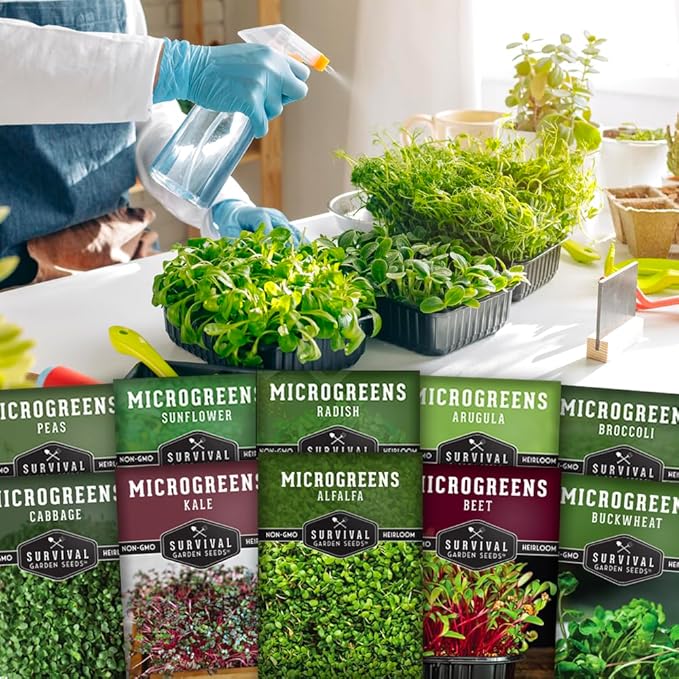 Microgreen Seeds Variety Pack – 10 Heirloom Types for Indoor Sprouting – Broccoli, Pea, Sunflower, Radish, Kale, Arugula & More – High Germination Non-GMO – Survival Garden Seeds (Seed Packs Only)