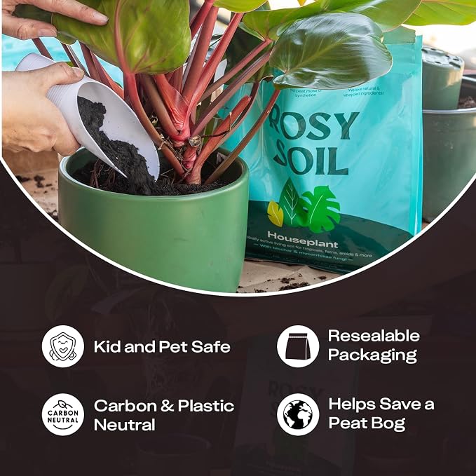 Rosy Soil Houseplant Potting Soil, Organic Indoor Potting Mix with Biochar and Worm Castings for Monstera, Pothos, Tropical Indoor Plants - Peat Free - 8qt