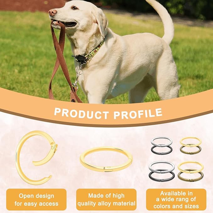 10Pack 1-1/2" Large Round Carabiner Clips, Metal Spring O Rings for Organizer Key Rings, Paracord Keychain Lanyard, Pet Chains, Purse Hardware, Key Snap Hooks DIY Accessory (Assorted)