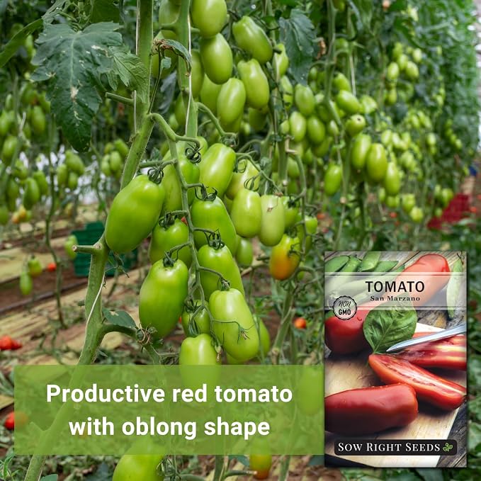 Sow Right Seeds - San Marzano Tomato Seeds for Planting - Non-GMO Heirloom Packet with Instructions to Plant a Home Vegetable Garden - Italian Classic Red Variety - Great for Sauce and Canning (2)