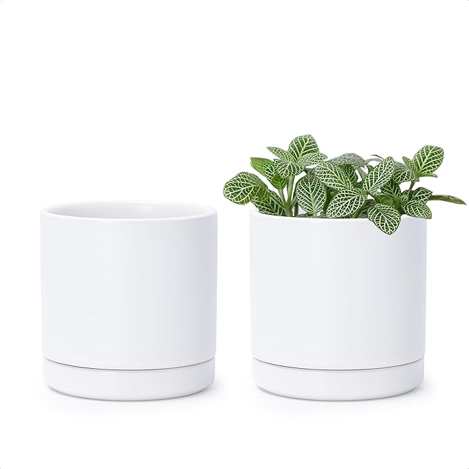 D'vine Dev Set of 2 Plants Pots, 3.5 Inch Ceramic Planter Pot for Plants with Drainage Hole and Saucer, White, 94-V-A-1