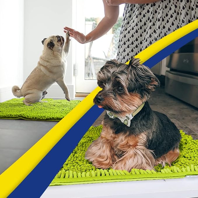 Muddy Mat® | Super Water Absorbent Door Mat Indoor, Microfiber Quick Dry Chenille Entryway Rug,Slip Resistant Front Door Mat,Indoor Mats for Entryway,Machine Washable Pet Rug, Spring Green 30" x 48"