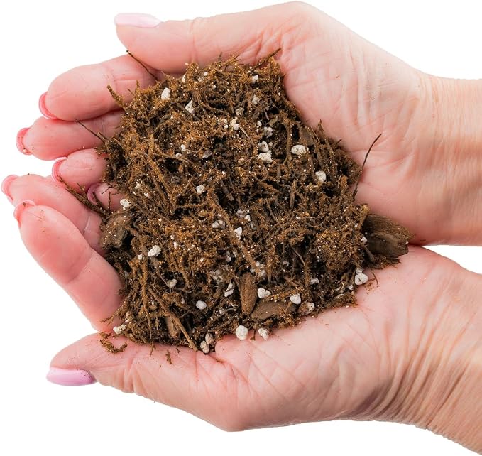 Premium Gardenera House Plant Potting Mix | Fern + New Zealand Bark + Perlite | Great for Pothos, Spider Plants, Montsera, Philodendron, English Ivy - 2 Quart Bag