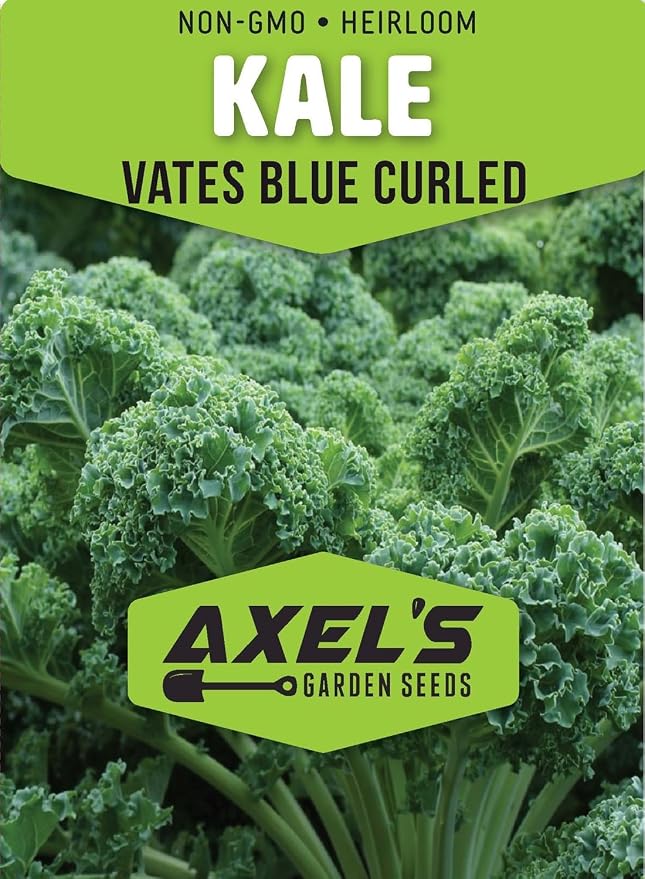 Curled Blue Kale Seeds for Planting – Plant & Grow Heirloom Non-GMO Curled Blue Vates Kale Home Outdoor Vegetable Garden, Brassica oleracea VAR. acephalla – 1 Packet Approx 200 Seeds
