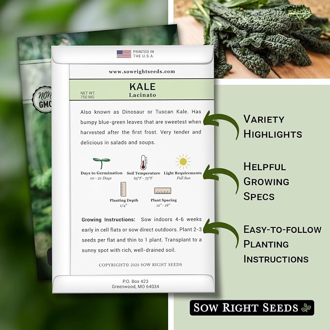 Sow Right Seeds - Lacinato Kale Seed for Planting - Non-GMO Heirloom Packet with Instructions to Plant a Home Vegetable Garden - Very Nutritious Superfood, Grow This Dinosaur Variety (1)