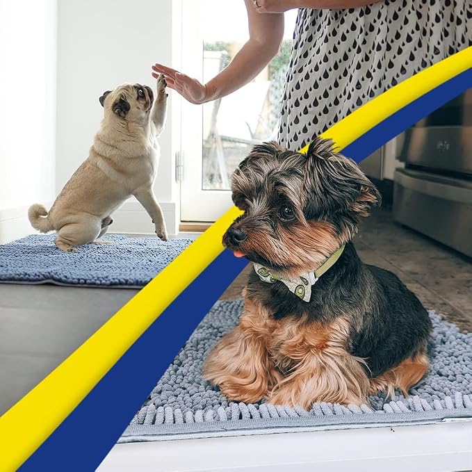 Muddy Mat® | Super Water Absorbent Door Mat Indoor, Microfiber Quick Dry Chenille Entryway Rug, Slip Resistant Front Door Mat, Indoor Mats for Entryway, Machine Washable Pet Rug, Baby Blue 2ft x 4ft