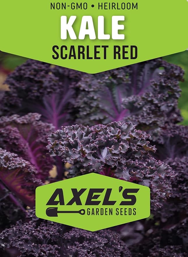 Kale Seeds for Planting - Plant & Grow Heirloom Kale Varieties Home Outdoor Garden – Easy Grow Planting Packet Instructions Included, Great Gardening Gift – 5 Packets of Each Variety