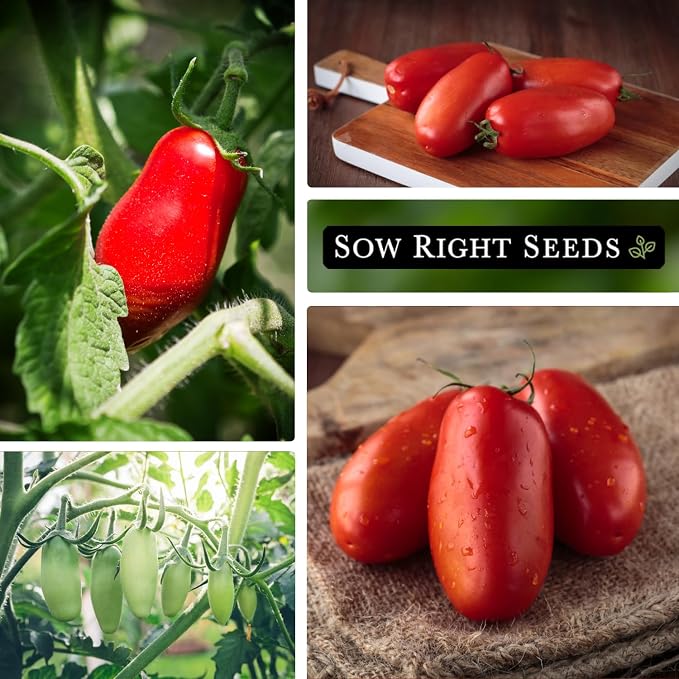 Sow Right Seeds - San Marzano Tomato Seeds for Planting - Non-GMO Heirloom Packet with Instructions to Plant a Home Vegetable Garden - Italian Classic Red Variety - Great for Sauce and Canning (2)