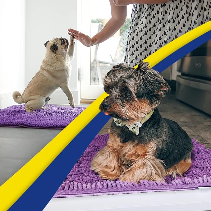 Muddy Mat® | Super Water Absorbent Door Mat Indoor, Microfiber Quick Dry Chenille Entryway Rug, Slip Resistant Front Door Mat, Indoor Mats for Entryway, Machine Washable Pet Rug, Purple 6ft x 9ft