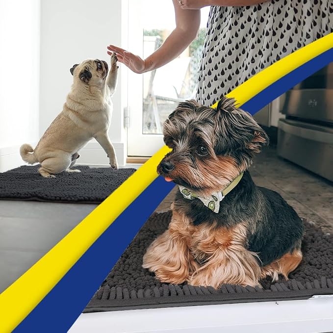 Muddy Mat® | Super Water Absorbent Door Mat Indoor, Microfiber Quick Dry Chenille Entryway Rug, Slip Resistant Front Door Mat, Indoor Mats for Entryway, Machine Washable Pet Rug, Charcoal 19"x30"