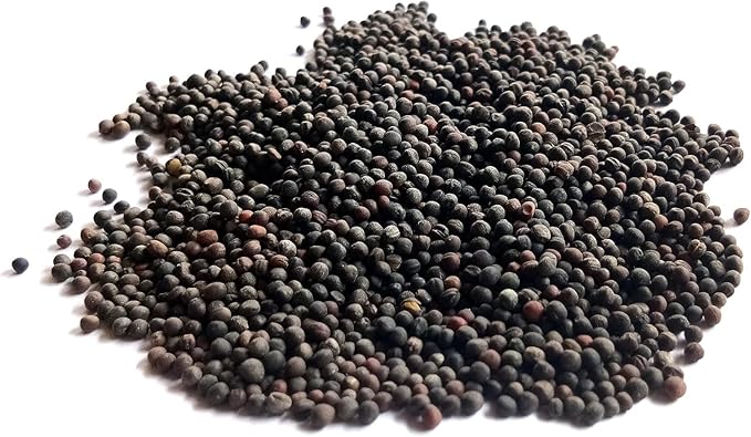 Red Russian Kale Seeds for Planting – Plant & Grow Heirloom Non GMO Red Russian Kale in Home Outdoor Vegetable Garden, Brassica Napus VAR. pabularia – 2 Packets