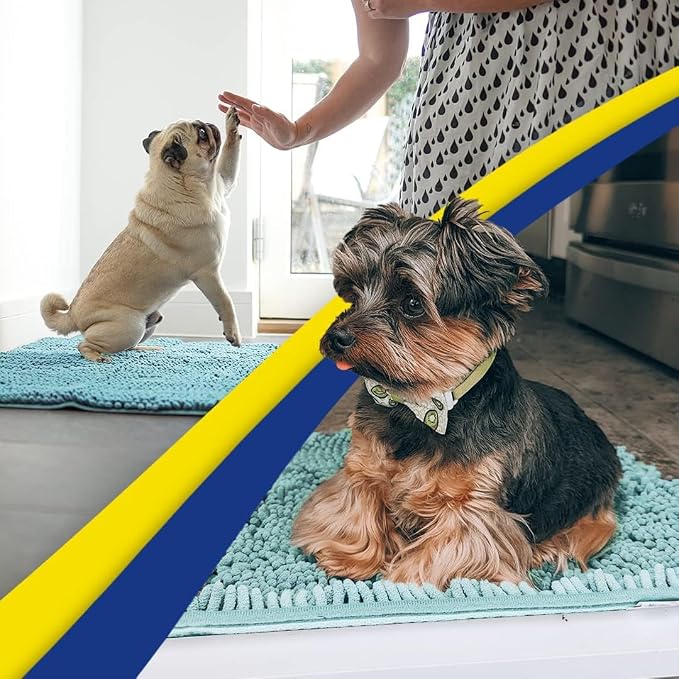 Muddy Mat® | Super Water Absorbent Door Mat Indoor, Microfiber Quick Dry Chenille Entryway Rug, Slip Resistant Front Door Mat, Indoor Mats for Entryway, Machine Washable Pet Rug, Sea Green 30" x 60"