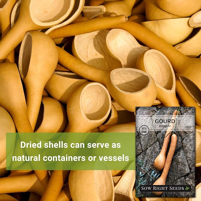 Sow Right Seeds - Dipper Gourd Seeds for Planting - Non-GMO Heirloom Packet with Instructions to Plant and Grow an Outdoor Home Vegetable Garden - Ornamental Craft Gourd - Rare & Unique (3)