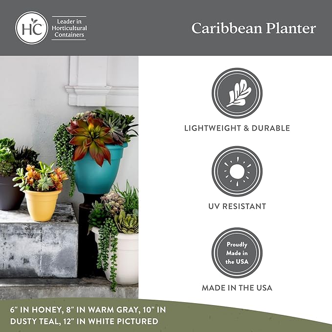 The HC Companies 6 Inch Caribbean Planter Pots with Drainage & Plug, Rolled Rim Plastic Planters for Indoor & Outdoor Plants, 4-Pack Decorative Flower Pots for Garden, Office & Home Decor, Black