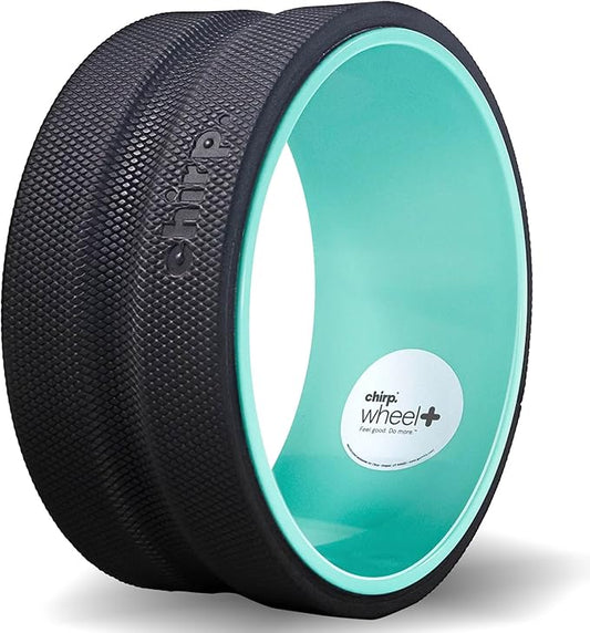 Chirp Wheel Foam Roller - Targeted Back & Neck Pain Relief, Muscle Massage, Trigger Point Therapy, High-Density Foam Tool for Physical Therapy, Stretching & Exercise, 500lbs Capacity, 10-Inch Mint
