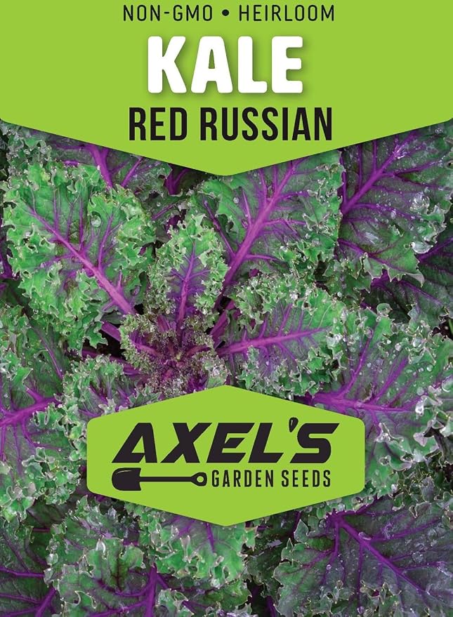 Kale Seeds for Planting - Plant & Grow Heirloom Kale Varieties Home Outdoor Garden – Easy Grow Planting Packet Instructions Included, Great Gardening Gift – 5 Packets of Each Variety