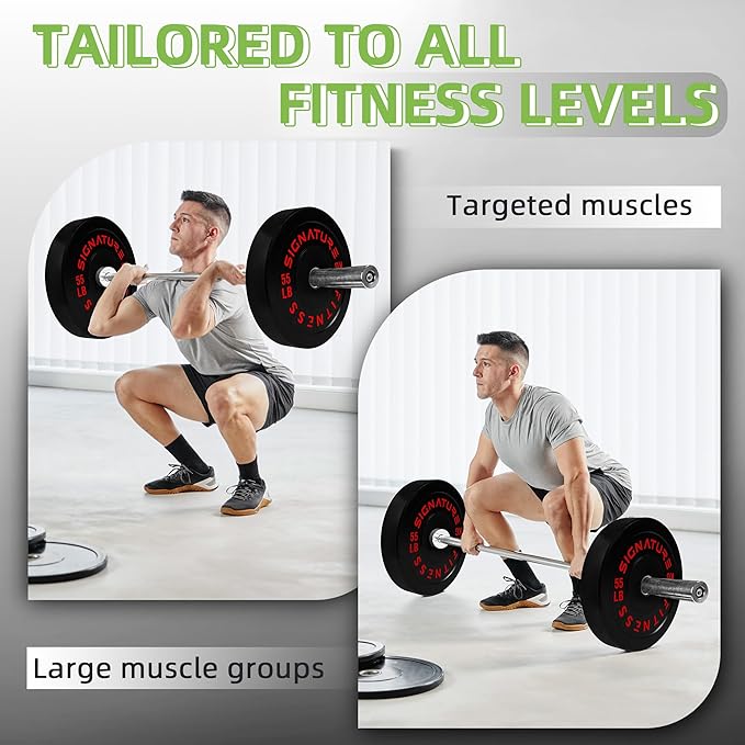 Olympic Bumper Plates Set, 2" Weight Plates for Strength Training & Weightlifting, Paris or Set or Set with Barbell, Multiple Options