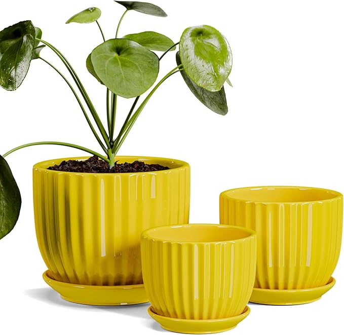 Ton Sin Ceramic Flower Pots,Yellow Plant Pots for Indoor Plants,4.1+5.1+6.5 inch Ceramic Plant Pots with Tray,Medium Indoor Planters for Aloe Cactus Decorative Pots with Drainage Hole (Set of 3)