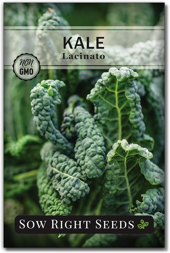 Sow Right Seeds - Lacinato Kale Seed for Planting - Non-GMO Heirloom Packet with Instructions to Plant a Home Vegetable Garden - Very Nutritious Superfood, Grow This Dinosaur Variety (1)