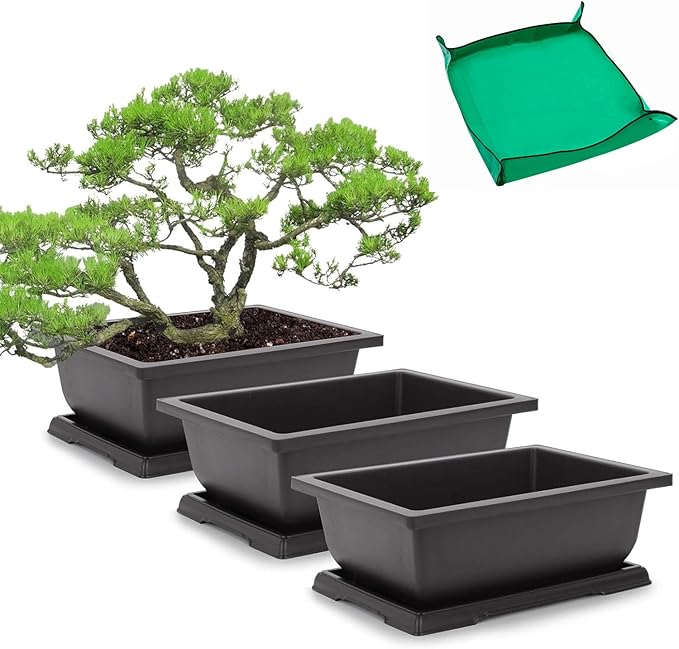 GROWNEER Bonsai Pots 3 Packs 11 Inch Bonsai Tree Training Pot with Humidity Drainage Trays & Repotting Mat Rectangle Planter Plants Starter Kit Growing for Garden Yard Office Indoor Outdoor