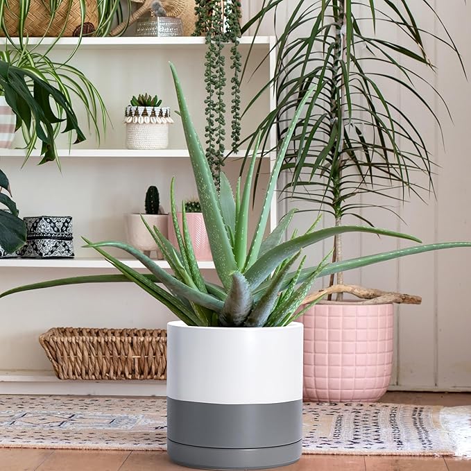 D'vine Dev 8.2 Inch & 10 Inch Ceramic Planter Pot for Plants with Drainage Hole and Saucer, Large Plant Pots Set, White/Speckled Grey, 94-G-L-6