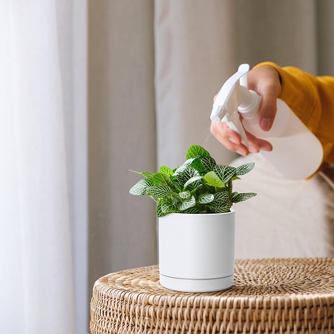 D'vine Dev Set of 2 Plants Pots, 3.5 Inch Ceramic Planter Pot for Plants with Drainage Hole and Saucer, White, 94-V-A-1