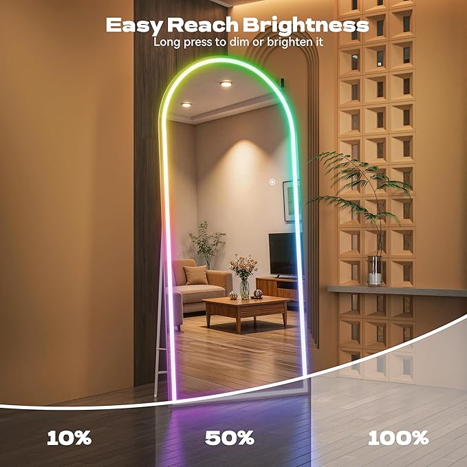 Hasipu Arch Full Length Mirror 55.5 x 15.7 in