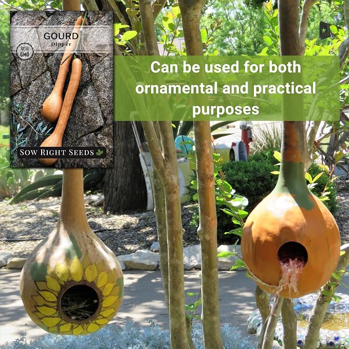 Sow Right Seeds - Dipper Gourd Seeds for Planting - Non-GMO Heirloom Packet with Instructions to Plant and Grow an Outdoor Home Vegetable Garden - Ornamental Craft Gourd - Rare & Unique (3)