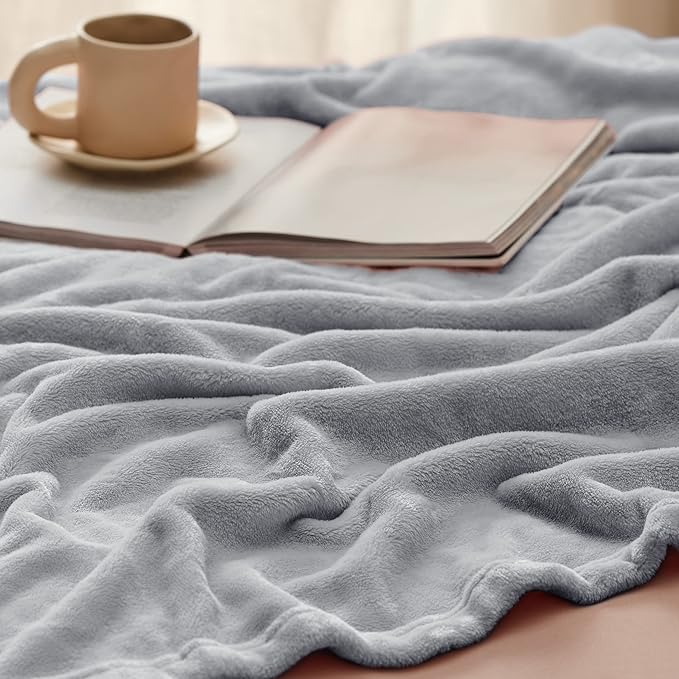 Bedsure Fleece Throw Blanket - Light Grey Lightweight Blankets for Sofa, Couch, Bed, Camping, Travel - Super Soft Cozy Microfiber Throws, 50x60 inches