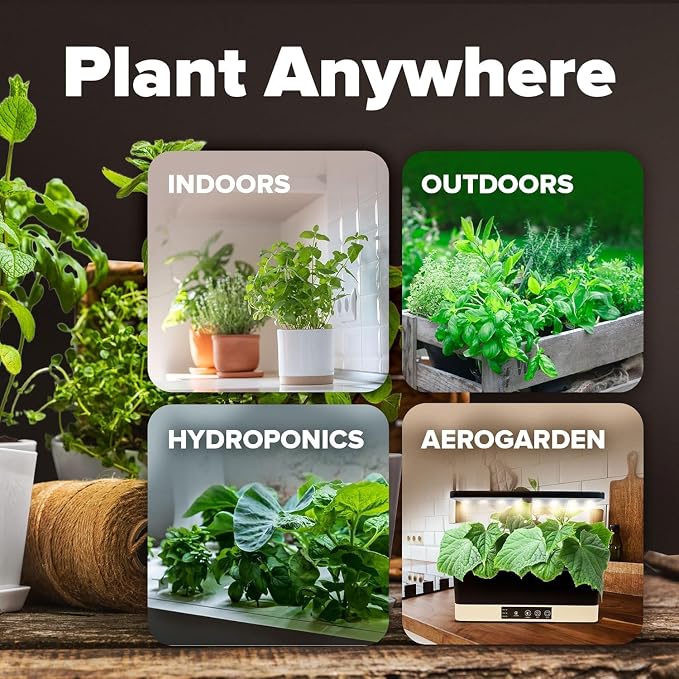 20 Heirloom Vegetable Seeds - 10,000+ Survival Seeds and Emergency Prepper Gear - Non GMO Vegetable Seeds for Planting Home Garden Variety Pack
