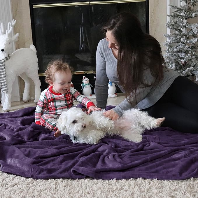 Bedsure Fleece Blankets Queen Size Purple - Bed Blanket Soft Lightweight Plush Fuzzy Cozy Luxury Microfiber, 90x90 inches