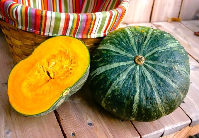 TomorrowSeeds - Kabocha Squash Seeds - 60+ Count - for 2026 Planting Japanese Pumpkin Green Hokkaido Ebisu Asian Tetsukabuto Buttercup Gourd Garden Vegetable Grow Your Own Home Farm Patio Healthy